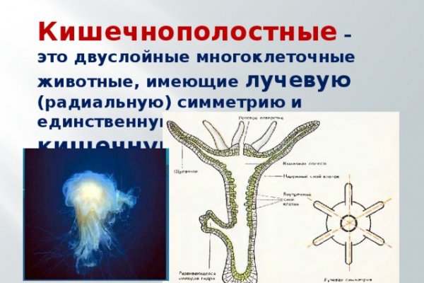 Кракен верное зеркало