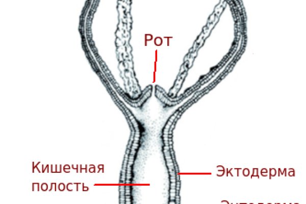 Какая комиссия кракен маркетплейс