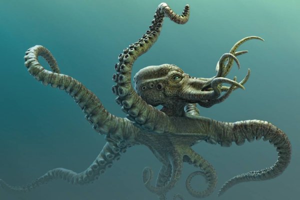 Kraken 17 at