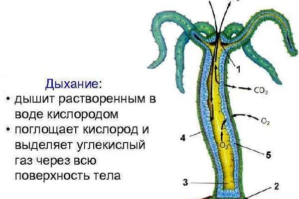 Магазин кракен даркнет сайт